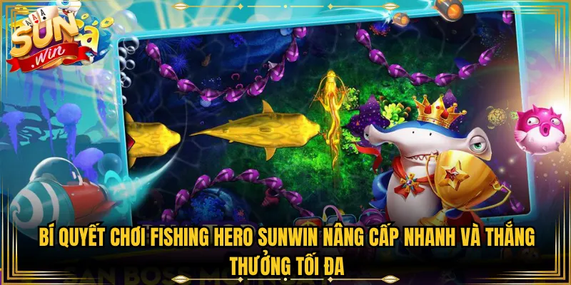 Bí Quyết Chơi Fishing Hero Sunwin Nâng Cấp Nhanh Và Thắng Thưởng Tối Đa